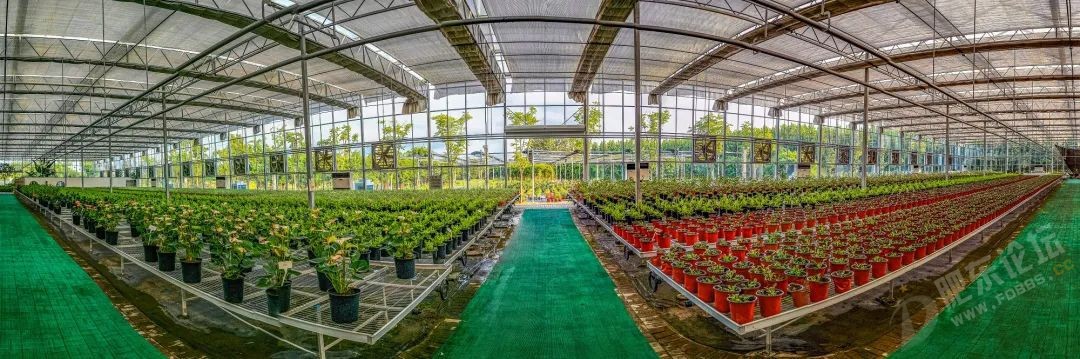 640 (6)_����.jpg